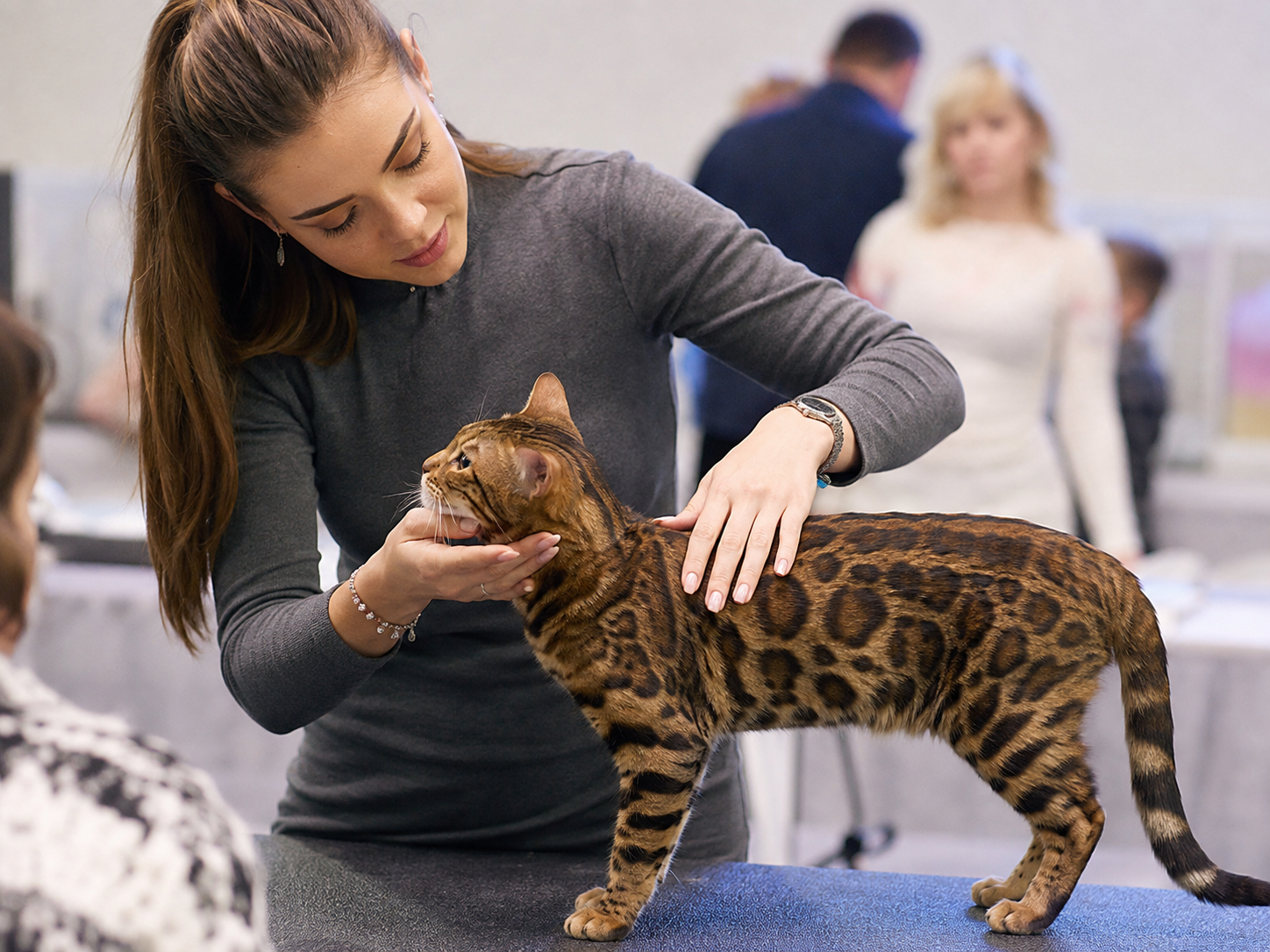 felinology show